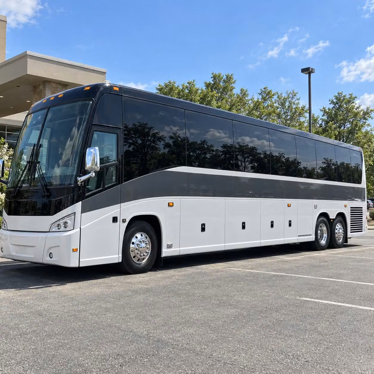 plan a nature field trip to barton springs and zilker park with a private bus rental